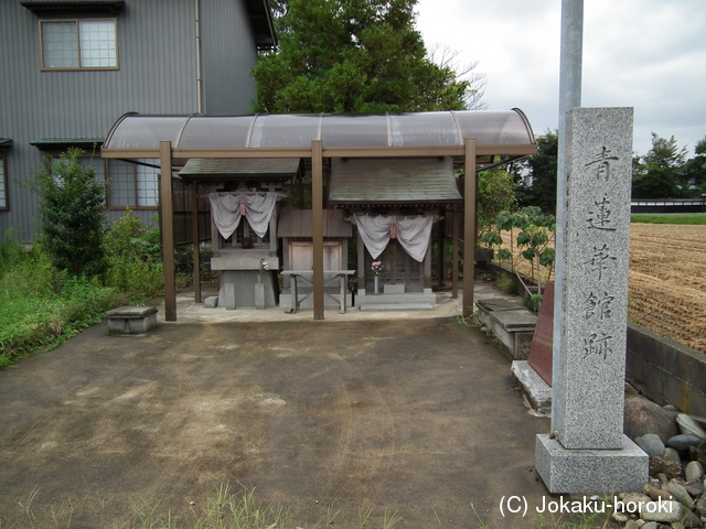 越前 青蓮華館の写真