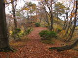 越前 杣山城の写真