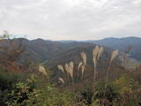 越前 杣山城の写真