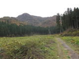 越前 杣山城の写真