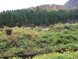 越前 杣山城の写真