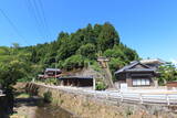 越前 天目山城の写真