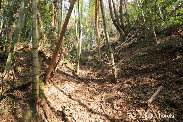 越前 茶臼山城(栃川)の写真