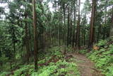 越前 東郷槇山城の写真