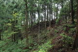 越前 東郷槇山城の写真