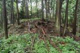 越前 東郷槇山城の写真