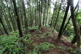 越前 東郷槇山城の写真