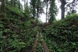 越前 東郷槇山城の写真