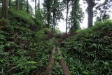 越前 東郷槇山城の写真