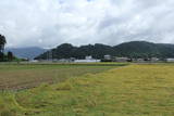 越前 東郷槇山城の写真