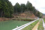 越前 上野山城の写真