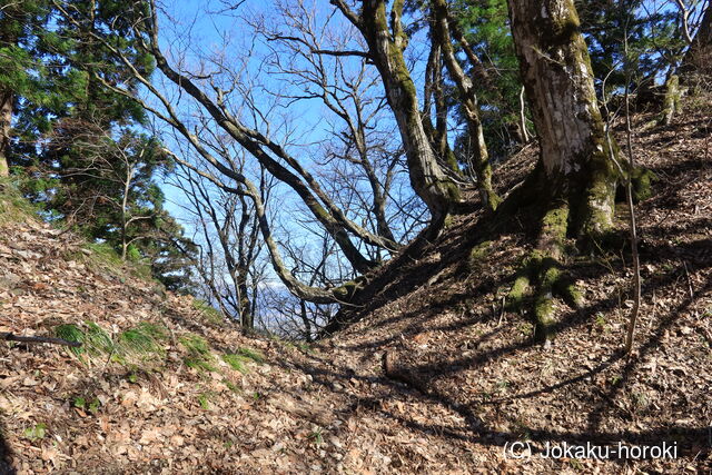 越前 牛ヶ原城(上城)の写真