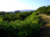 蝦夷 五稜郭の写真