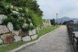 播磨 赤穂城の写真
