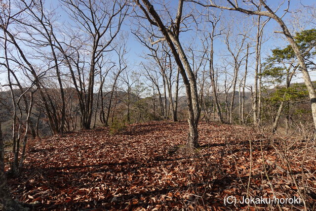 播磨 別名城の写真