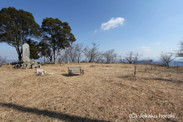 播磨 中道子山城の写真