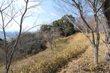 播磨 中道子山城の写真