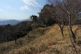 播磨 中道子山城の写真