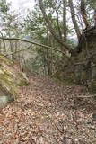 播磨 大聖寺山城の写真