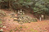 播磨 大聖寺山城の写真