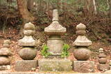 播磨 大聖寺山城の写真