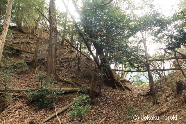 播磨 段ノ城(下城)の写真