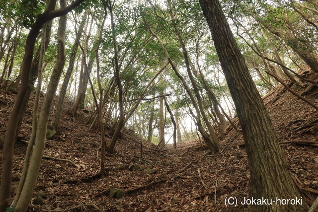 播磨 段ノ城(上城)の写真