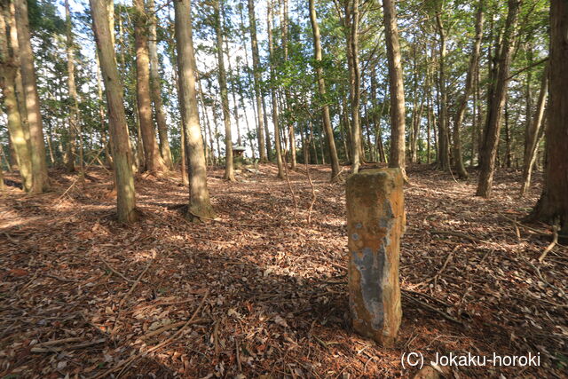 播磨 円光寺砦の写真