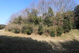 播磨 萩原城の写真