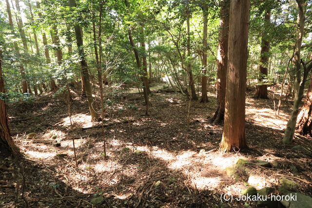 播磨 白山城の写真