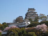 姫路城写真