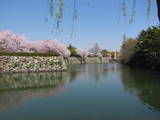 播磨 姫路城の写真