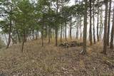 播磨 飯野山城の写真