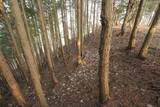 播磨 飯野山城の写真