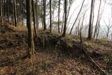 播磨 飯野山城の写真