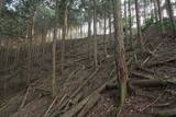 播磨 飯野山城の写真