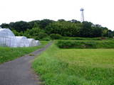 播磨 池谷城の写真