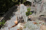 播磨 慈眼寺山城の写真