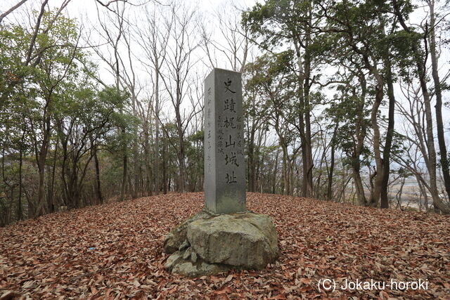 播磨 梶山城の写真