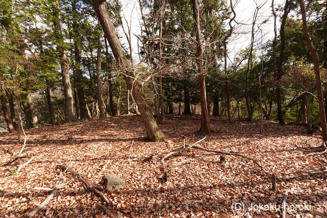 播磨 柏原城(上郡町)の写真