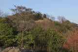 播磨 感状山城の写真