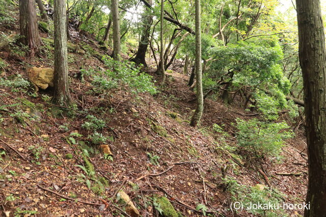 播磨 柏尾山城の写真