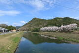播磨 霞ヶ城の写真