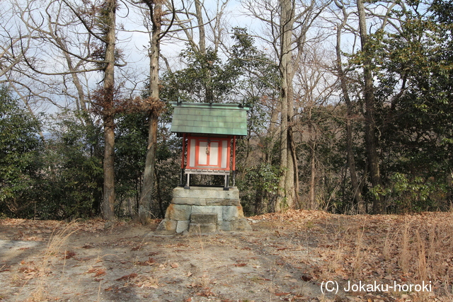 播磨 片山城の写真