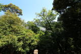 播磨 鶏籠山城の写真