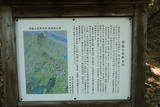 播磨 鶏籠山城の写真