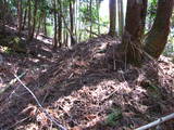 播磨 城山城の写真