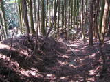 播磨 城山城の写真
