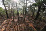 播磨 城山城の写真