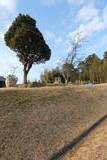 播磨 衣笠城の写真